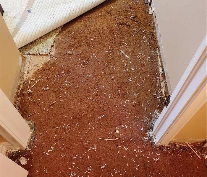 Wet, swelled particle board subfloor, under carpet & pad